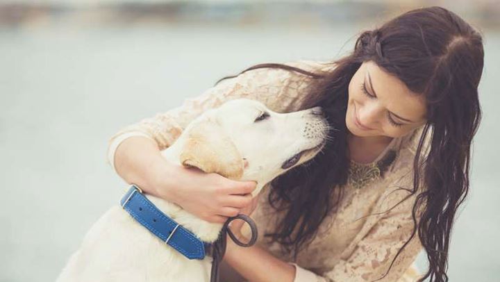 Kafshët shtëpiake që ju largojnë stresin