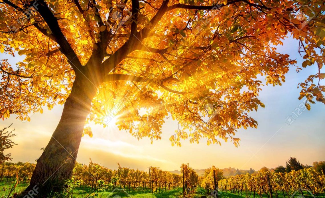 Temperatura të larta dhe diell në gjithë vendin, moti për sot