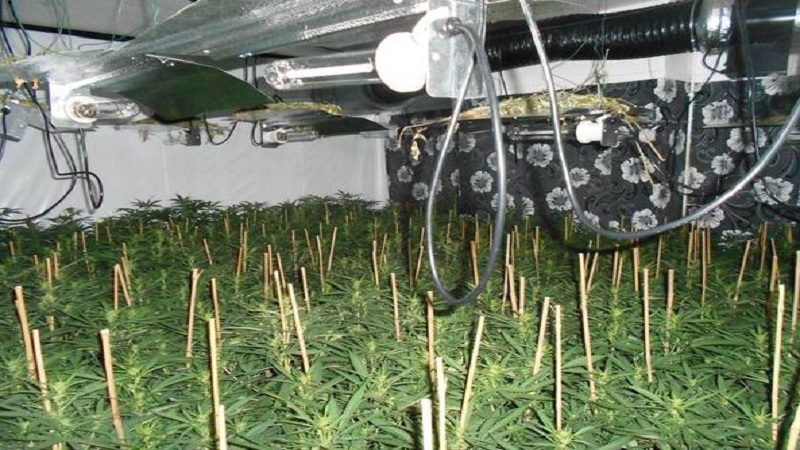 Angli, zbulohet rroga e shqiptarëve në “shtëpitë e  barit”