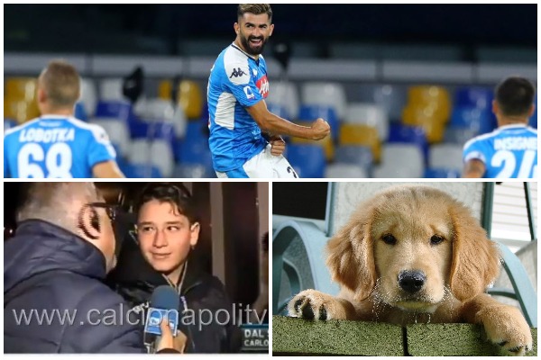 Fitoi bastin me golin e Hysajt, tifozi i Napolit bëhet me qen të ri