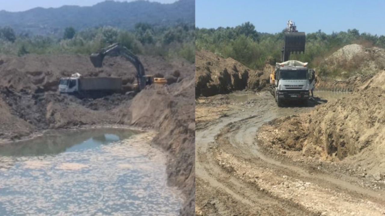Krimi mjedisor në Shijak, procedohen dy persona, 2 milionë lekë gjobë për durrsakun