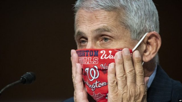 Kreu i ekspertëve amerikanë: Nuk ka mbaruar ende vala e parë e koronavirusit