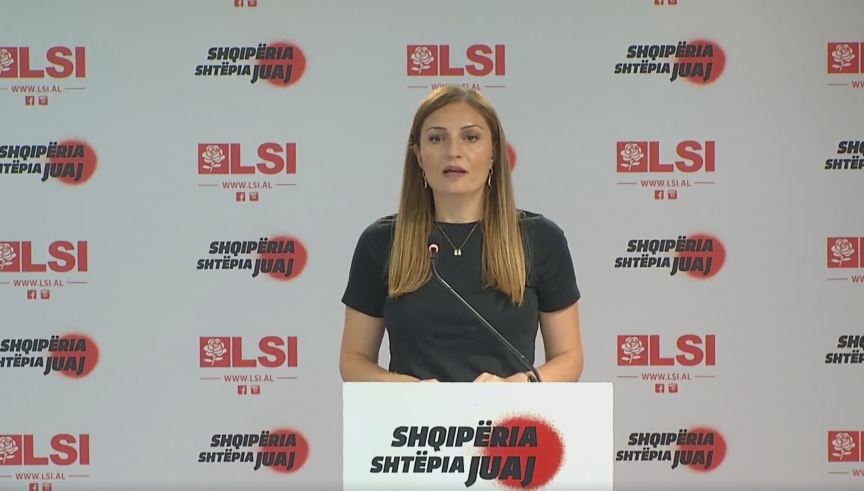 Presidenca gjermane e BE, Gjosha: Qeveria të dalë me një plan konkret për kushtet e Bundestagut