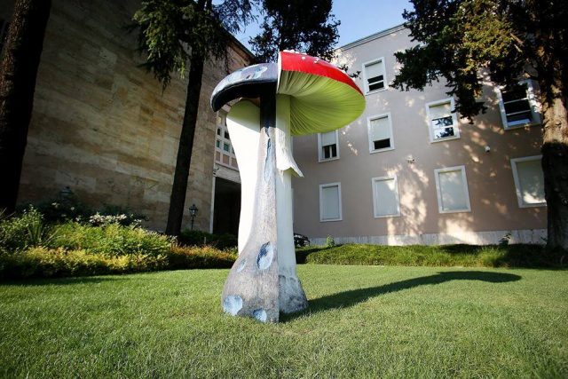 Kërpudha te Kryeministria, Rama: Atyre që s’e pëlqejnë, të mos e ngacmojnë se rritet më shumë