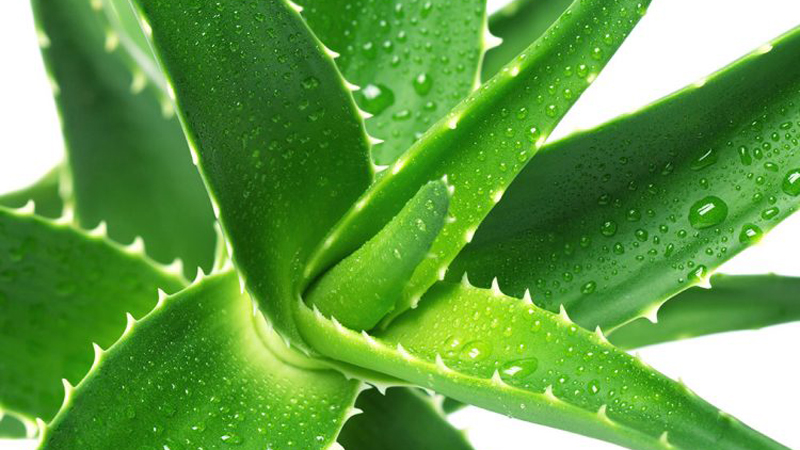 Të nxirat dhe mavijosjet – Kurat e shtëpisë që vërtet funksionojnë