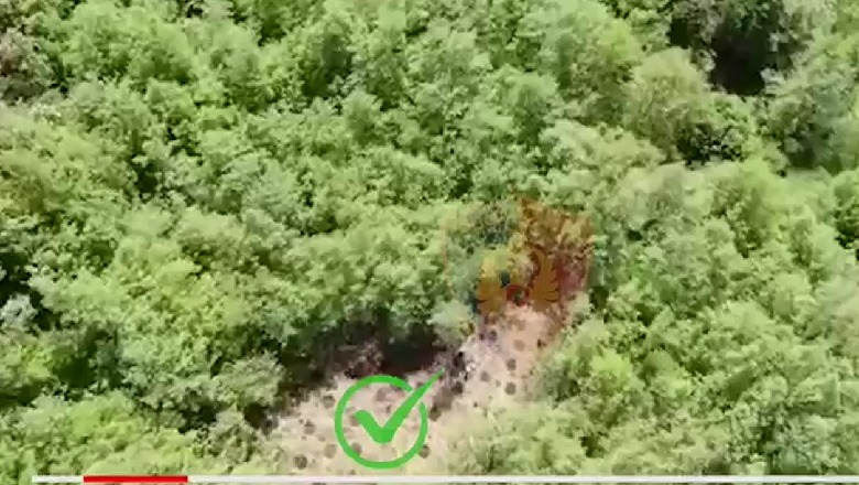 Kanabisi, kontrolle me dronë/ Prangosen 2 persona, procedohen 3 të tjerë