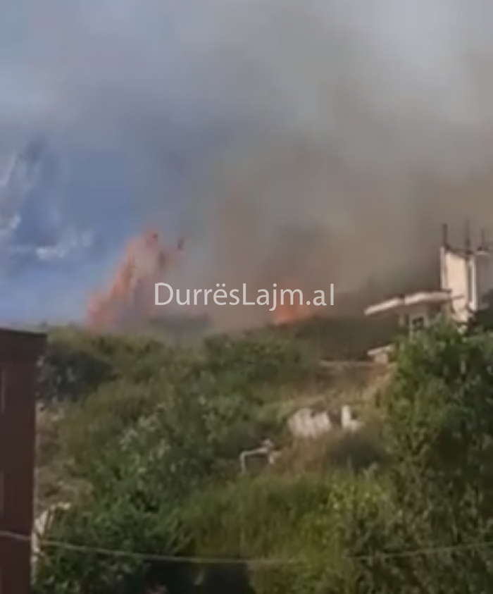 Fiket zjarri i madh në Shkëmbin e Kavajës, ja dëmet që u shkaktuan (VIDEO)