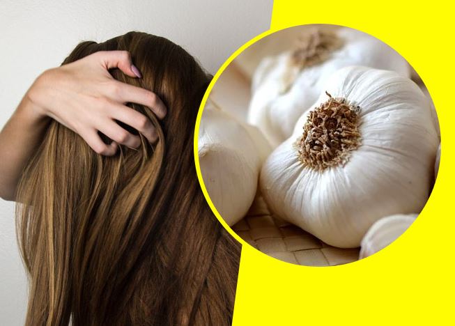 Si ndihmon hudhra në trajtimin e zbokthit