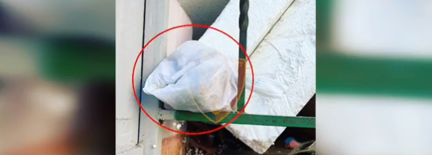 Aksion në Tiranë, sekuestrohen dhjetëra doza drogë, arrestohen dy të rinjtë