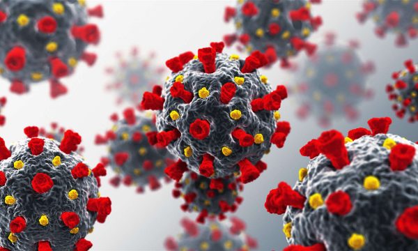 11 të vdekur dhe 141 raste të reja me koronavirus në Kosovë