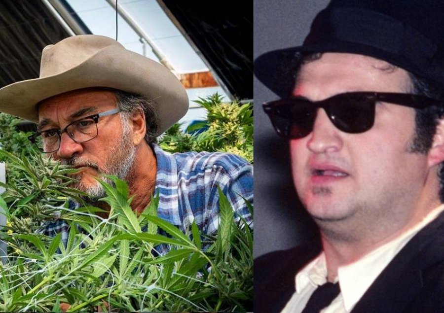 Jim Belushi: Nëse vëllai im do konsumonte hashash çdo ditë, do të ishte gjallë