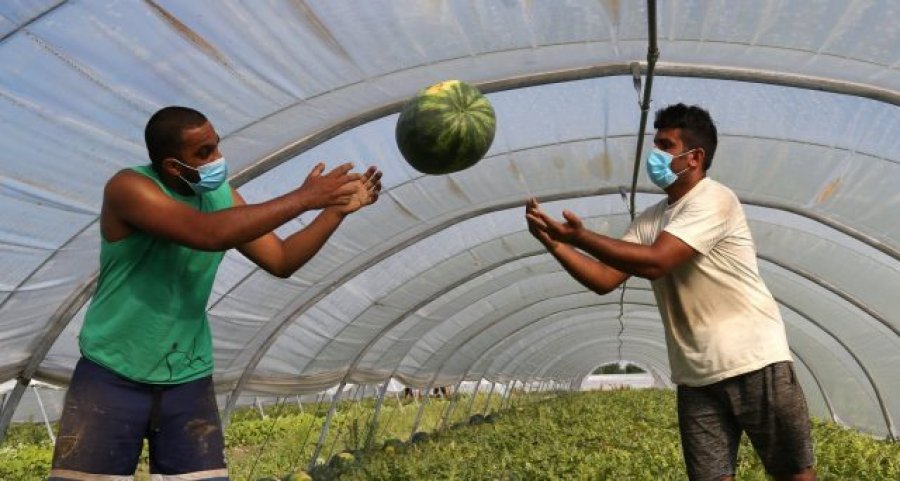 17 mijë shqiptarë mund të përfitojnë një leje qëndrimi në Itali