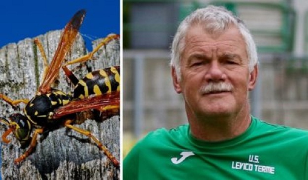 E pickoi grerëza, ndërron jetë ish-portieri i njohur