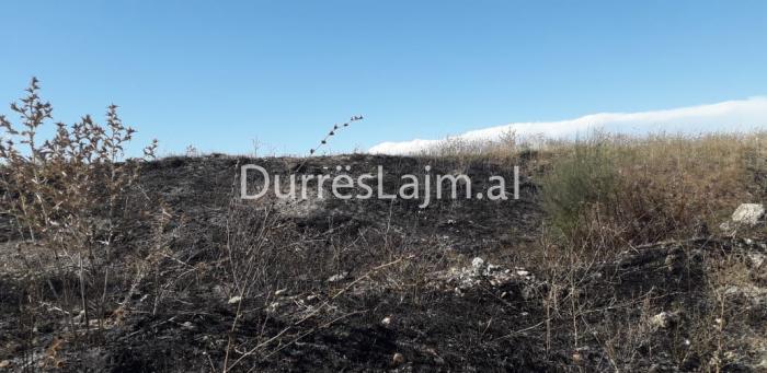 Durrës, zjarri shkrumbon një sipërfaqe me shkurre pranë tregut të makinave (VIDEO)