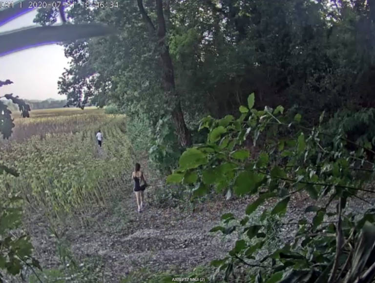 Itali, shkonin në fushën me luledielli dhe shpërndanin drogë, arrestohet çifti shqiptar