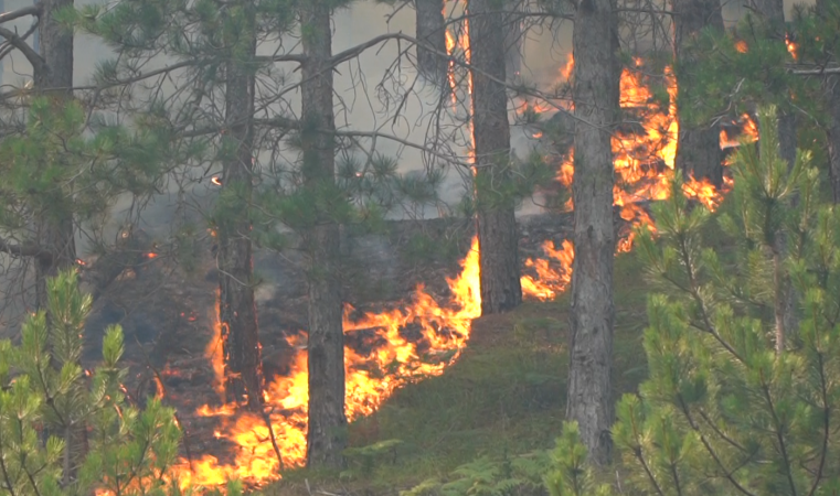 Ushtria zbret në terren, rreth 200 efektivë të FA në luftë me flakët