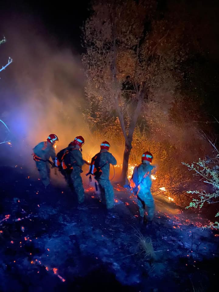 Ministrja Xhaçka: Forcat e Armatosura të angazhuara në shuarjen e zjarreve