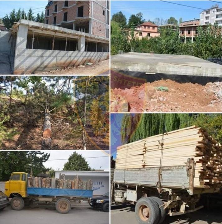 Krimet mjedisore në vend, procedohen 11 persona