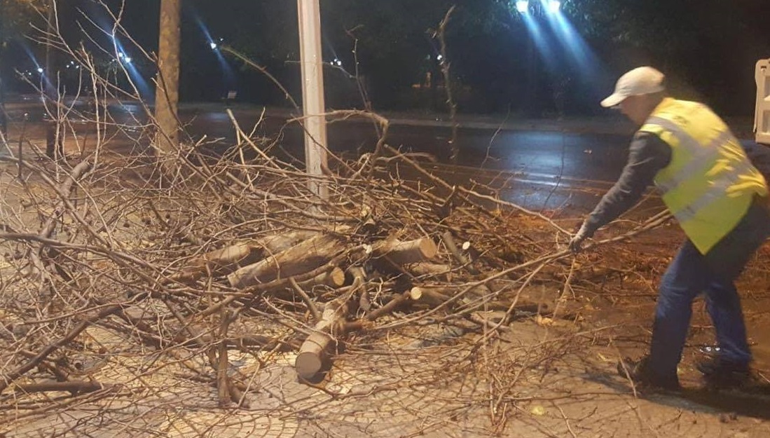 Stuhi dhe erë, rrëzohen pemët në Tiranë (FOTO)