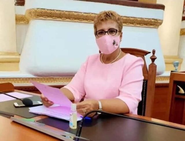 Deputetja socialiste fiksohet pas maskave, i kombinon çdo ditë me fustanin (FOTO)