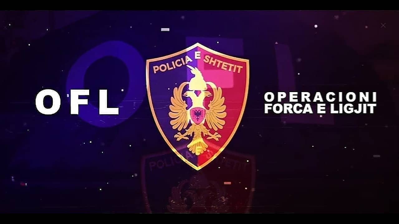 Rrëmbim, prostitucion, trafik droge e grup kriminal, të piketuarit e OFL-së