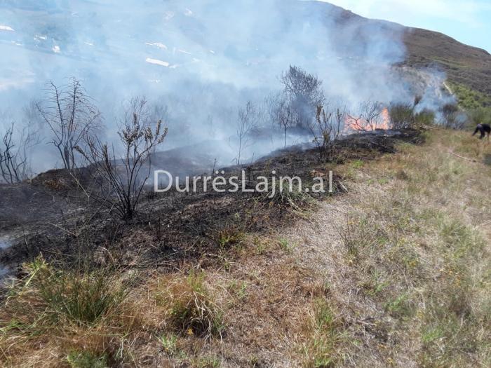 Bie zjarr në Spitallë, digjen rrënjë ullinjsh e shkurre (FOTO)