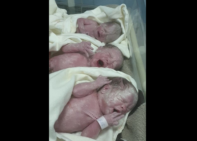 Video emocionuese – Momentet e para të lindjes së trinjakëve te “Koço Gliozheni”