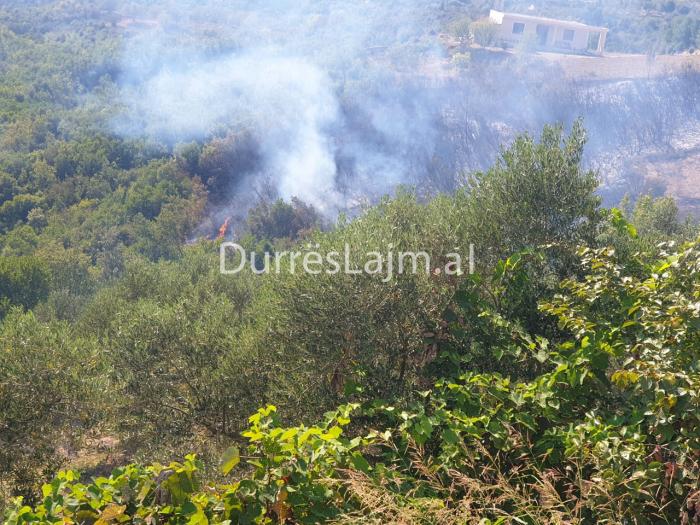 Durrës, zjarrfikësit angazhohen për shuarjen e flakëve në një zonë me bimësi (FOTO)