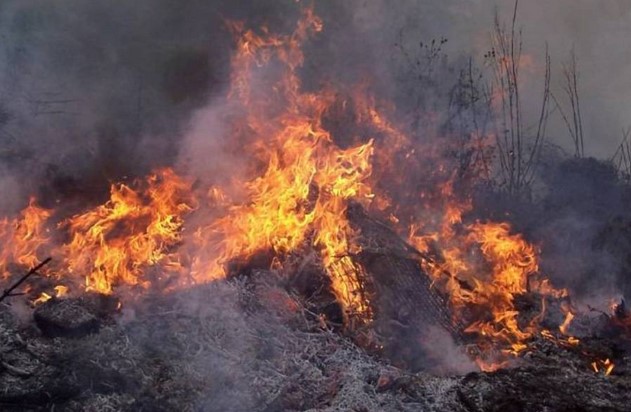 Ndezi zjarr për të pastruar tokën por flakët u përhapën, procedim ndaj 48-vjeçarit në Durrës