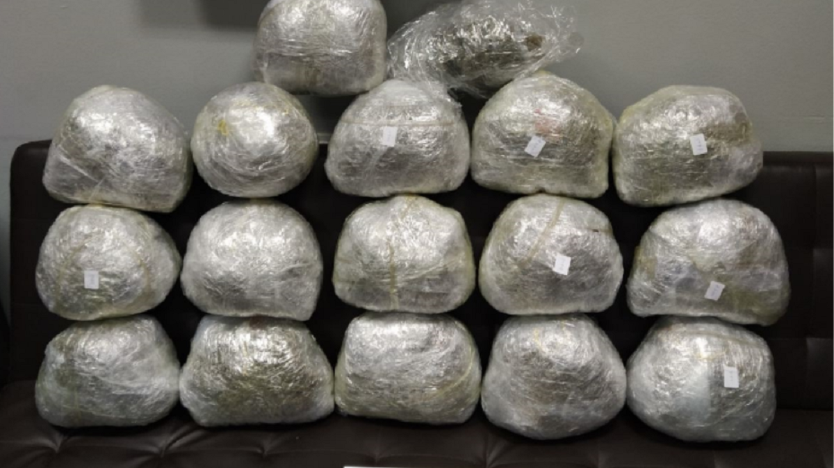 Arrestohet çifti shqiptar në Greqi, do të trafikonin me makinë 31.5 kg kanabis në Turqi