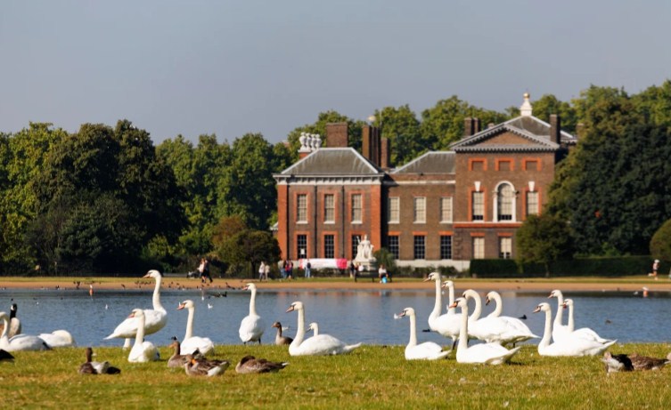 Gjendet një kufomë gruaje në liqenin përpara shtëpisë së William dhe Kate!