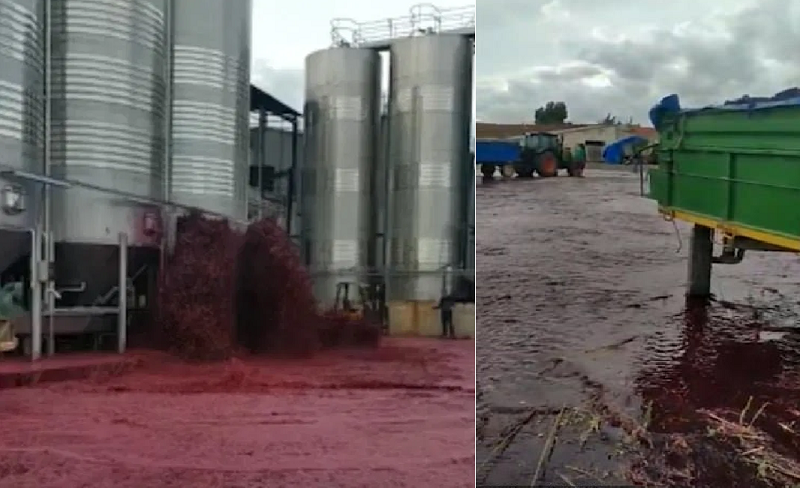 “Tsunami” i verës së kuqe (FOTO)