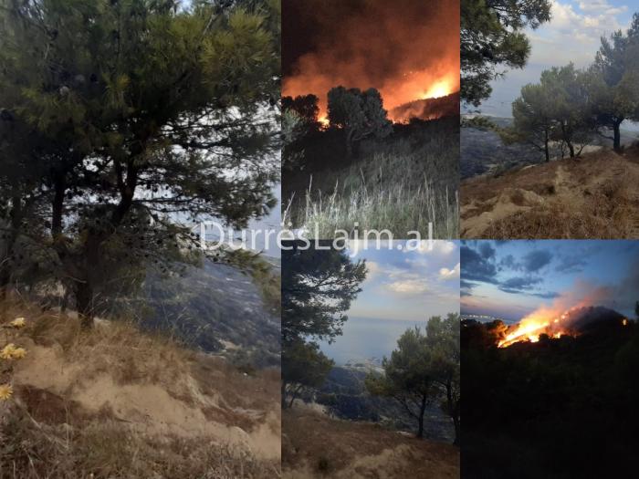 Zjarr i madh në zonën e Kallmit në Durrës (VIDEO+FOTO)