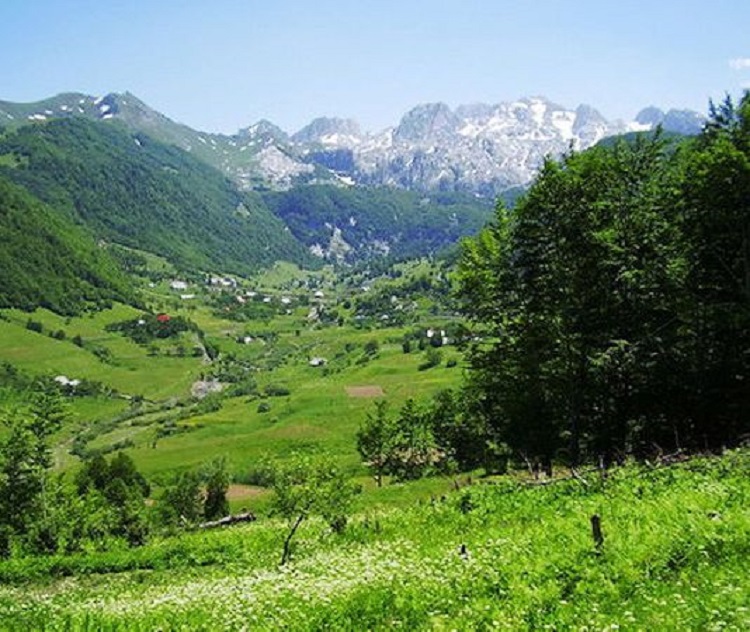 EMRAT/  Sherr për kultivimin e hashashit! Zhduken 3 persona, 2 prej tyre dyshohet se mund të jenë vrarë