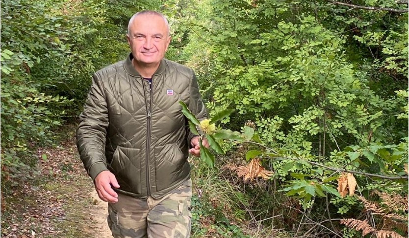 “Mirëmëngjes nga pylli…!”, kështu e nis ditën Presidenti Meta