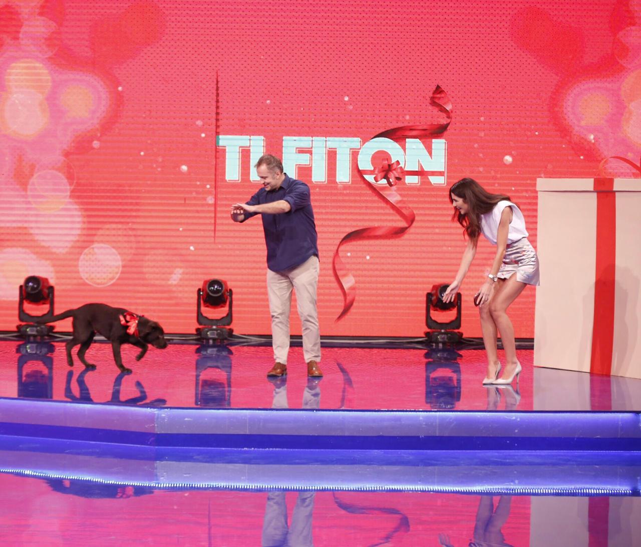 Për herë të parë, “bashkëprezantues” tek “E Diell” do të jetë një qen