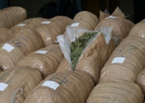 Arrestohen dy shqiptarë në aksin Kakavijë-Janinë, kapen me 115 kg kanabis