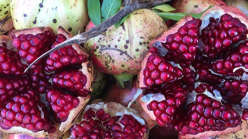 Zbuloni sinjalet e fshehura që tregojnë se i keni enët e gjakut të bllokuara