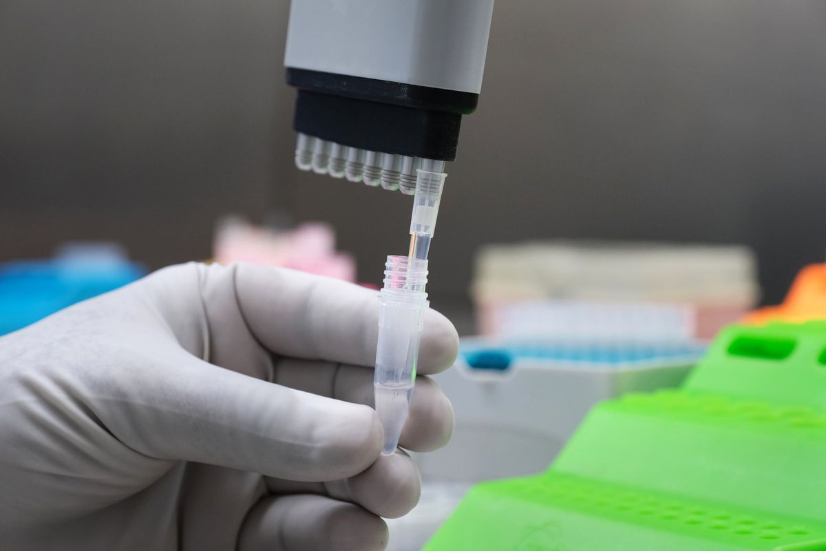 Depozitohet në Kuvend projektligji për blerjen e vaksinës anti-Covid, ja sa pritet të kushtojë