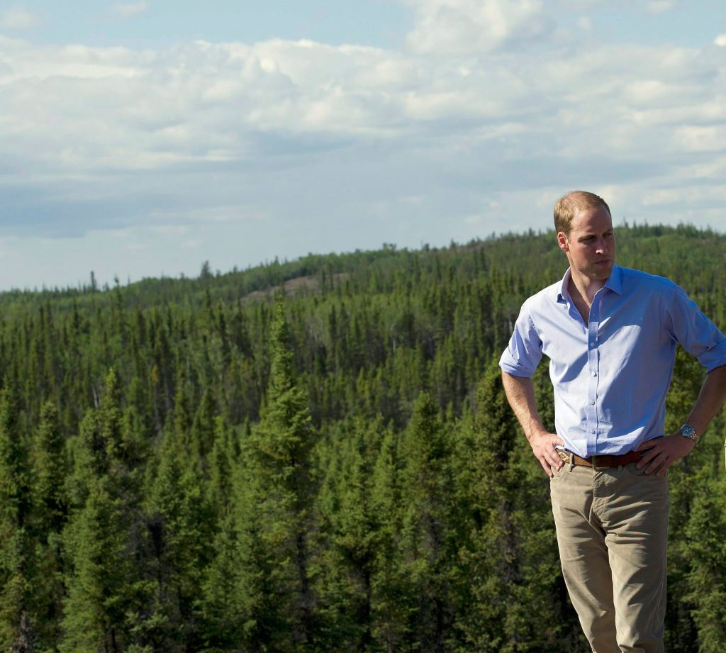 Princi William shpenzon 65 mln dollarë për krijimin e çmimit të ri për mjedisin