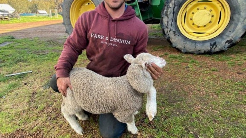 Lind qengji me pesë këmbë