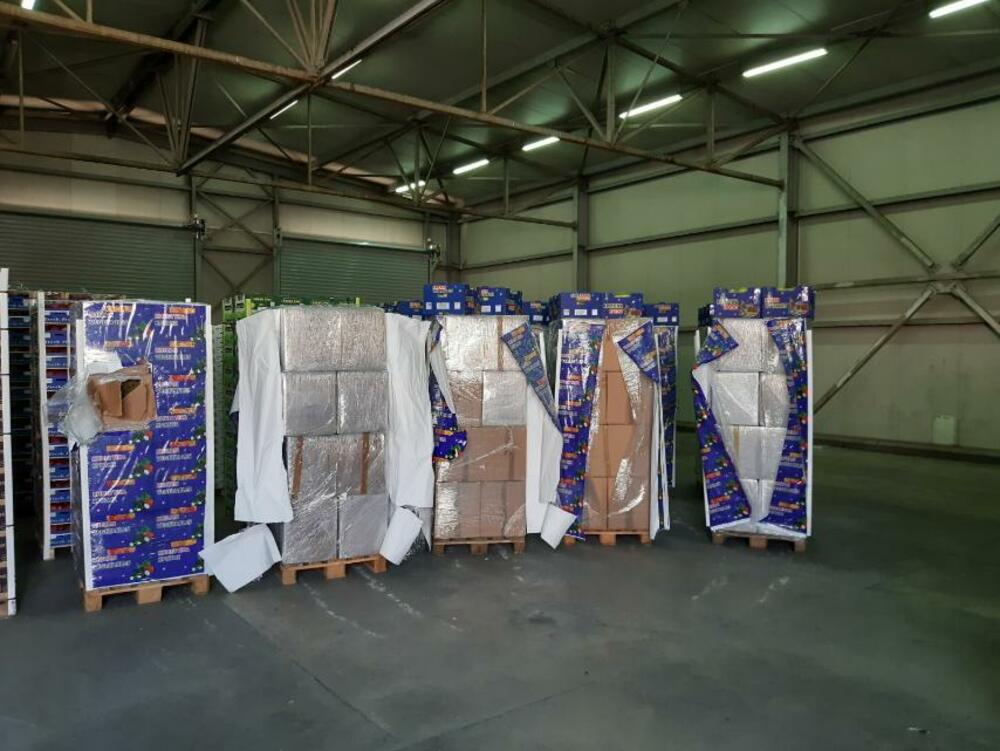 Pranga 40-vjeçarit shqiptar, u kap në Malin e Zi me një kamion me dy tonë marijuanë