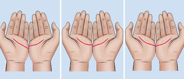 Bashkoni duart me partnerin dhe zbuloni çfarë tregon vija e dashurisë për lidhjen tuaj