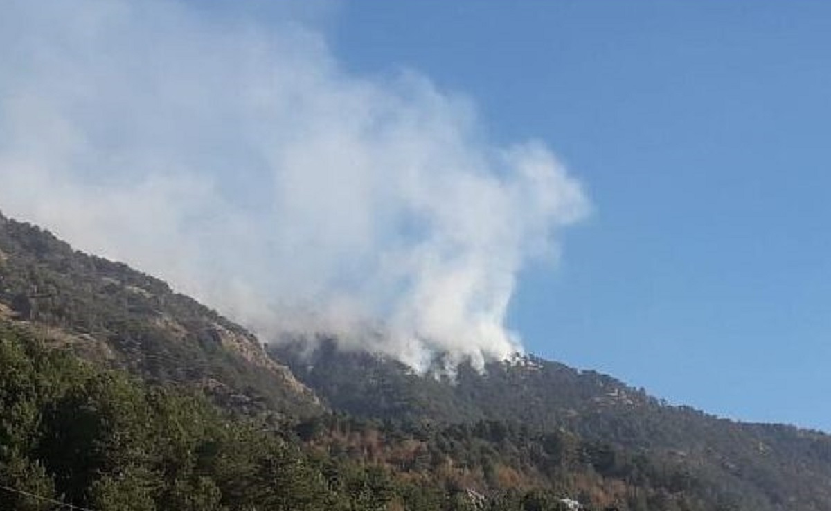 Zjarr i madh në Parkun Kombëtar të Qafështamës