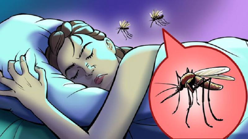 Pse mushkonjat “këndojnë” në veshin tonë dhe si t’i shmangni