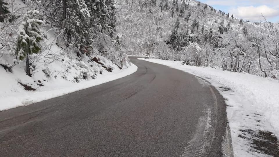 Parashikimi i motit, 17 janar 2021