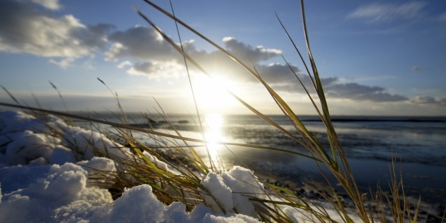 Parashikimi i motit, e hënë 18 janar