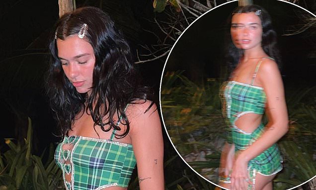 Postoi emoji me fëmijë, Dua Lipa ndez spekulimet se është në pritje të ëmbël