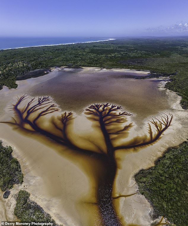 “Pema e Jetës”, fenomeni i pabesueshëm që ndodhi në liqenin në Australi