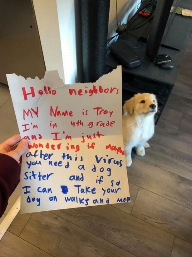 10-vjeçari i bën një kërkesë me shkrim, fqinji preket nga letra e tij